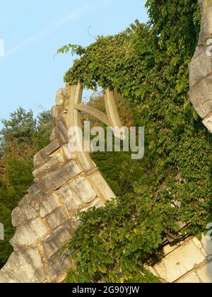 Ivy covering a ruined stone arch on an abandoned, crumbling building. Golden evening light illumnates the stonework; trees in the background and a blu Stock Photo