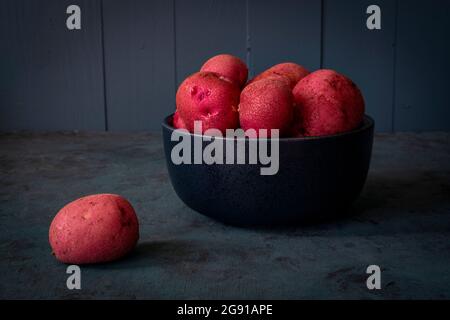 Freshly dug red potatoes on a dark background. Stock Photo
