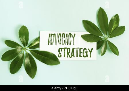 Writing displaying text Advocacy Strategy. Word Written on activity by an individual that aims to influence decisions Creating Nature Theme Blog Stock Photo