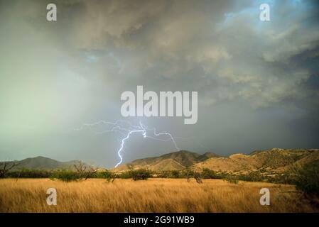 Lightning over desert grasslands Stock Photo