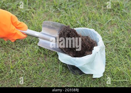 Black plastic bag with gardening waste and gloves in UK garden Stock Photo  - Alamy