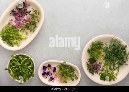 Different types of useful microgreens on plates, top view Stock Photo