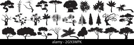 Seth black silhouettes of trees from different climatic zones on a white background - Vector illustration Stock Vector