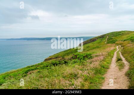 Pembrokeshire Coast coastal path along St Bridges Bay in Wales Stock Photo