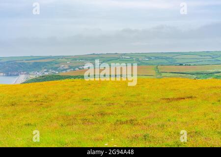 Rural landscape along Pembrokeshire Coast Path in Wales Stock Photo