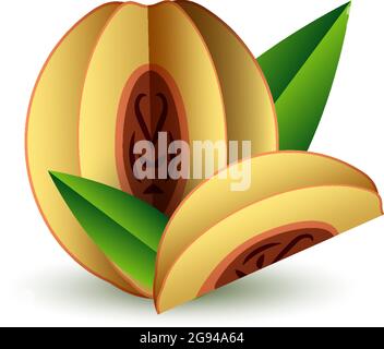 Vector tropical summer exotic fruit paper cut volumetric. Origami. Isolated color object on white background. Orange Peach Apricot and Slice Stock Vector