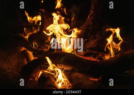Wood in a fire with an open fire and red coals in the dark Stock Photo