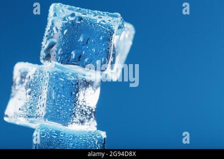 Cubes of melting ice tower on a blue background. Free space Stock Photo