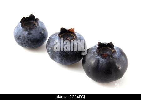 Three blueberries isolated on white background Stock Photo