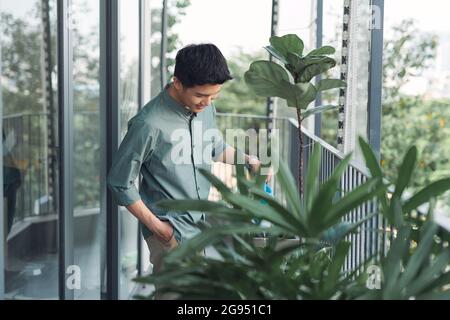 Attractive Young Man on Apartment Balcony Watering Plants in Box from Blue Watering Can Stock Photo