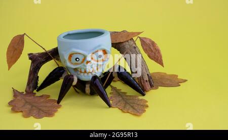 On a yellow background, a toy skull with spider legs crawls out from under a snag. The concept of Halloween. Place for your text. Stock Photo