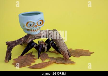 On a yellow background, a snag, a toy skull, with spider legs. The concept of Halloween. Place for your text. Stock Photo