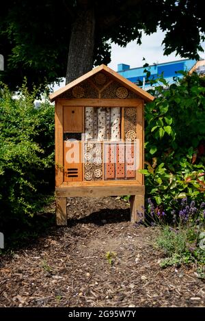 A bee and insect hotel situated in Southampton City Centre to help the environment and local wildlife population. Stock Photo