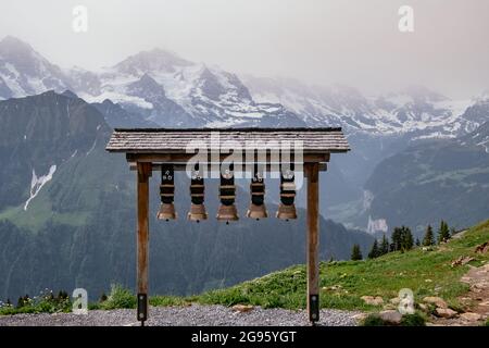 Schynige Platte, Bernese Oberland, Switzerland - Aerial Panorama View with Swiss Alps Eiger, Mönch and Jungfrau mountains in the background and Cow Be Stock Photo