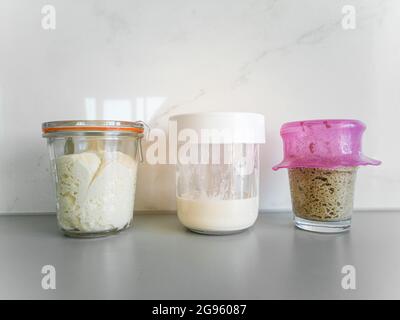 Three jars with different types of sourdough bread on table in kitchen Stock Photo