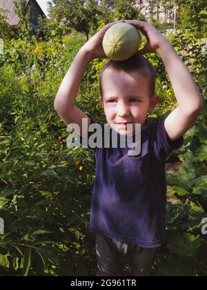 Boy holding a vegetable marrow with hands on his head in the garden Stock Photo