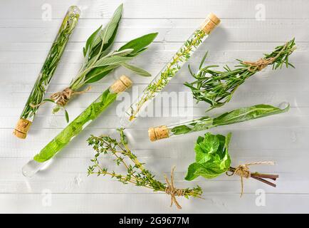 Chaotic layout of fresh herbs of spices in bundles and medicinal tinctures in test tubes on a white wooden background. Stock Photo