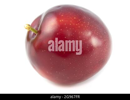 Red plum fruit isolated on white background. Stock Photo