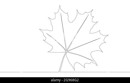 Self drawing animation of one line drawing of isolated object maple leaf. Stock Vector