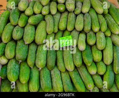 Fresh cucumbers sold at 25 rubles a kilo, or USD 3, at the Sennoy market, the cheapest one in St. Petersburg, Russia Stock Photo