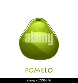 Fresh bright exotic whole green pomelo fruit isolated on white background. Summer fruits for healthy lifestyle. Organic fruit. Cartoon style. Vector i Stock Vector