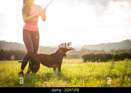 Woman and her American Pit Bull Terrier Stock Photo