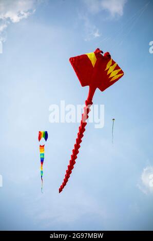 Beijing, China. 24th July, 2021. Flying kites in a park in Beijing, China on 24/07/2021 by Wiktor Dabkowski Credit: dpa/Alamy Live News Stock Photo