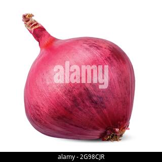 Red onion isolated on white background. onion clipping path Stock Photo