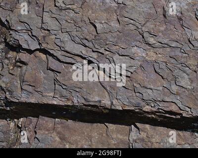 Closeup view of slate (also shale, schist, a metamorphic rock) with visible cracked layers and colored surface on sunny day with shadow pattern. Stock Photo