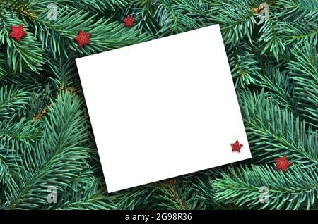 Background of many green Christmas tree branches and white paper for text. Stock Photo