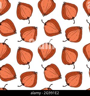 Physalis pattern seamless doodling hand drawing on a white background. Vector illustration Stock Vector