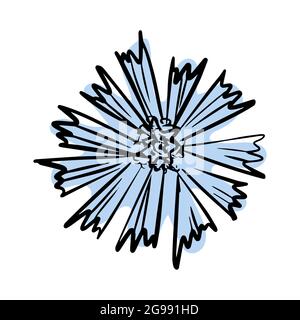 Cornflower with abstract shapes hand drawn illustration. Line art. Isolated on white background. Stock Vector