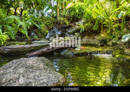 waterfall in tropical garden during spring season.  beautiful landscaping with beautiful plants Stock Photo