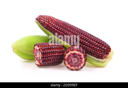 Fresh purple corn isolated on white background Stock Photo