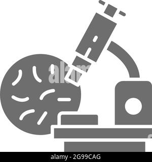 Bacteria under the microscope, probiotics grey icon. Stock Vector