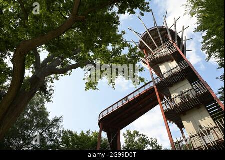 GERMANY, Stavenhagen, National Nature monument, Ivenacker Eichen, 1000 years old german oak trees near village of Ivenack in Mecklenburg, 650 metres Treetop Walk, view point tower Stock Photo