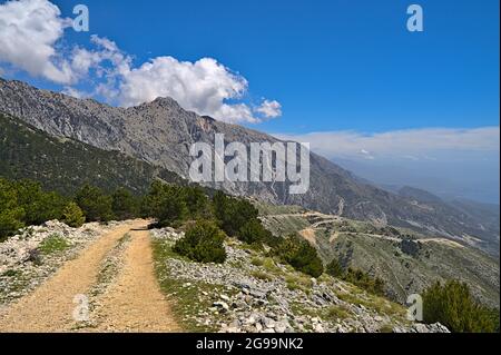 View of Llogara National Park, Vlore, Albania Stock Photo - Alamy