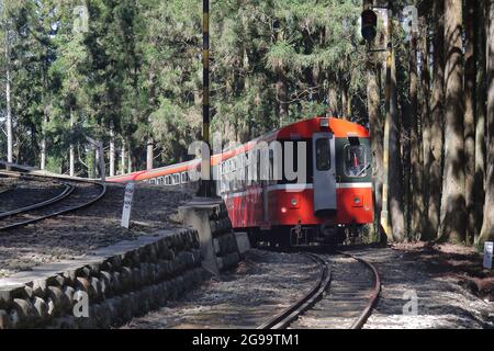 A red old train running in Alishan National Scenic Area, Taiwan. Stock Photo