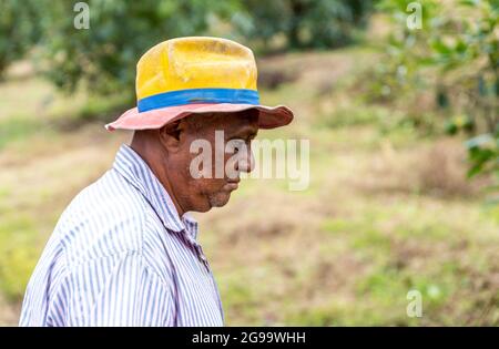 side portrait of an elderly farmer in the countryside Stock Photo