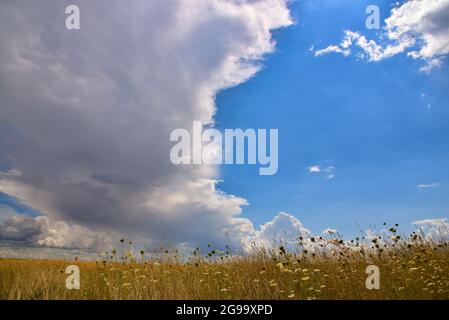 Cloud formation with cumulus clouds over a meadow in summer, Bavaria, Germany, Europe Stock Photo