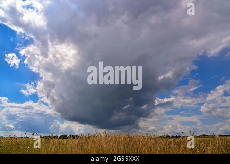 Cloud formation with cumulus clouds over a meadow in summer, Bavaria, Germany, Europe Stock Photo
