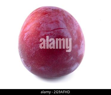 Red plum fruit isolated on white background. Stock Photo