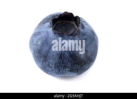Single Blueberry Isolated on White Background. Stock Photo