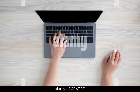 Technology concept. Woman using personal laptop with empty monitor, typing on keyboard and holding computer mouse Stock Photo