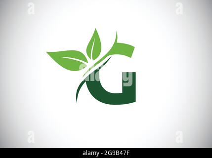 Initial G monogram alphabet with two leaves. Green, eco-friendly logo concept. Modern vector logo for ecological business and company identity Stock Vector