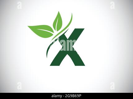 Initial X monogram alphabet with two leaves. Green, eco-friendly logo concept. Modern vector logo for ecological business and company identity Stock Vector