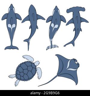 Set of images with marine animals. Vector color isolated objects on white background. Stock Vector