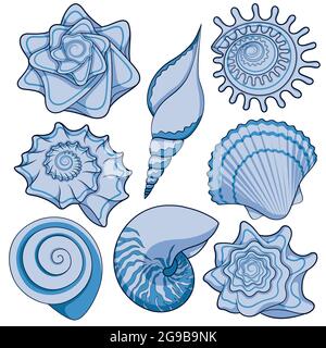 Set of colored sea shells. Isolated vector objects on white background. Stock Vector