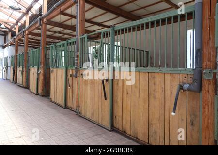 Inside modern clear stable or barn with horse boxes. Passageway view in natural light in the end. Cleared empty stall in the stable keeping sport hors Stock Photo