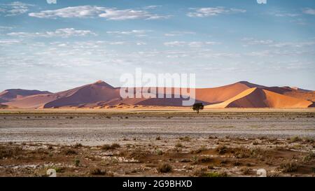 Towering sand dunes near Sossusvlei in the Namib-Naukluft National Park, Namibia, Africa. Stock Photo